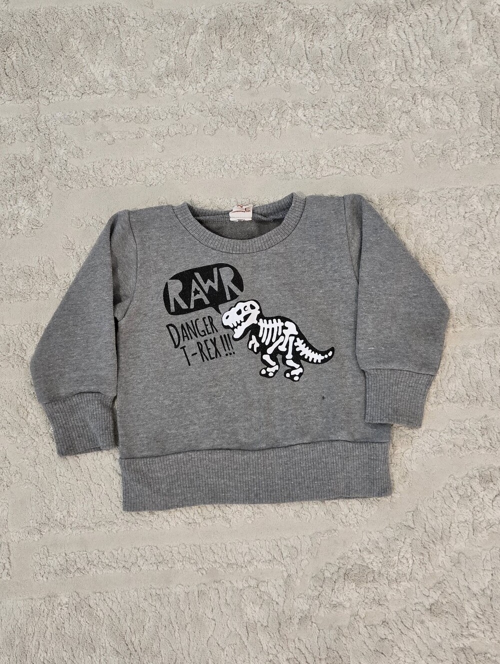 SUNDEWDROP - Kids Gray Sweatshirt with T‑Rex Skeleton Graphic 2T